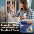 NexGard-Spectra-for-Dogs-�-All-in-One-Protection-Against-Fleas-Ticks-Worms